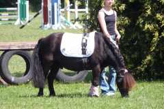 1_DSCF3234