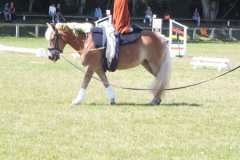 1_DSCF3246