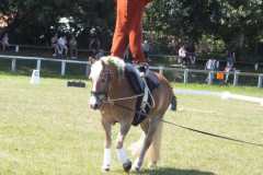 1_DSCF3247