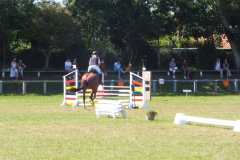 1_DSCF3271
