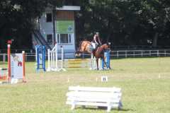 1_DSCF3272