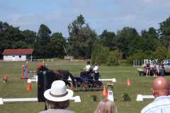 1_DSCF3275