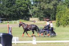 1_DSCF3277