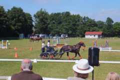 1_DSCF3278