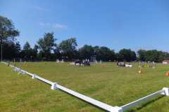 1_DSCF3282