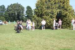 1_DSCF3289