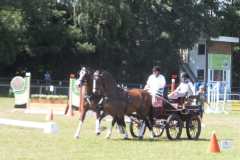 1_DSCF3290