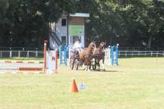 1_DSCF3293
