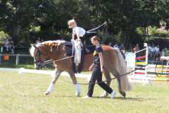 1_DSCF3321