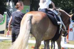 1_DSCF3322