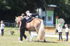 1_DSCF3323