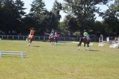 1_DSCF3338