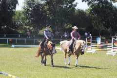 1_DSCF3341