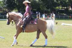 1_DSCF3346