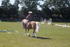 1_DSCF3348