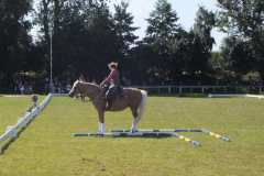1_DSCF3349