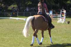 1_DSCF3352
