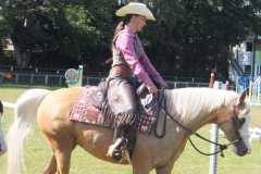 1_DSCF3353