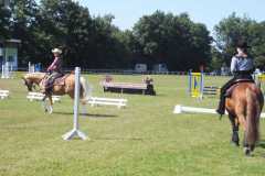 1_DSCF3354