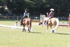 1_DSCF3356