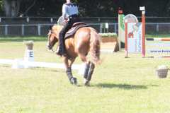 1_DSCF3361