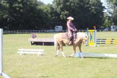 1_DSCF3365