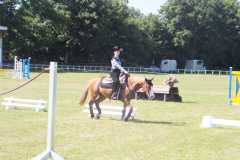 1_DSCF3366