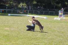 1_DSCF3369