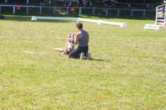 1_DSCF3370