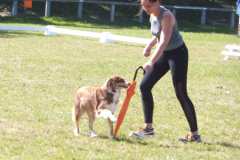 1_DSCF3371