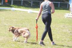 1_DSCF3372