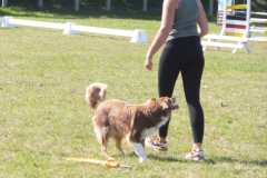 1_DSCF3374