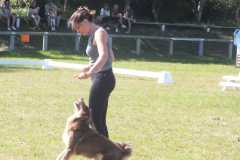 1_DSCF3375