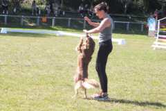 1_DSCF3379