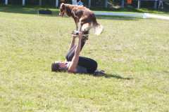 1_DSCF3381