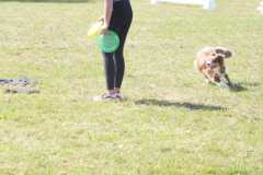 1_DSCF3384