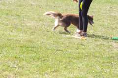 1_DSCF3386
