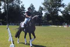 1_DSCF3390