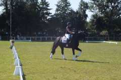 1_DSCF3392