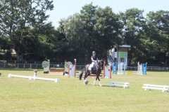 1_DSCF3395