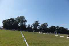 1_DSCF3396
