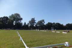 1_DSCF3397