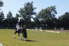 1_DSCF3399