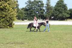 1_DSCF3411