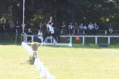 1_DSCF3414