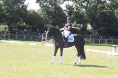 1_DSCF3422