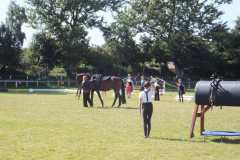 1_DSCF3425