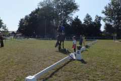 1_DSCF3431