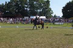 1_DSCF3433