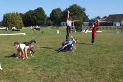 1_DSCF3439